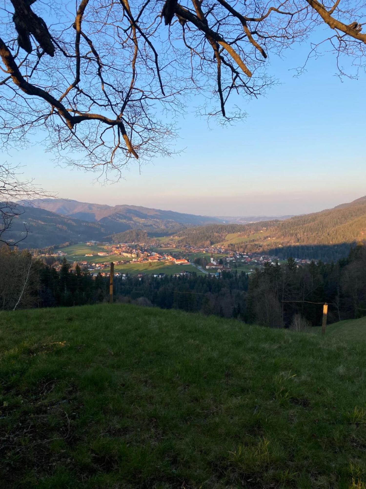 Apartma Ella Lovrenc na Pohorju Esterno foto